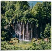WallClassics - Panneau en mousse PVC – Chutes d'eau depuis les Arbres vers le bas – Photo 50 x 50 cm sur panneau en mousse PVC