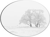 WallClassics - Dibond Ovaal - Witte Natuur door Sneeuw - 40x30 cm Foto op Ovaal (Met Ophangsysteem)