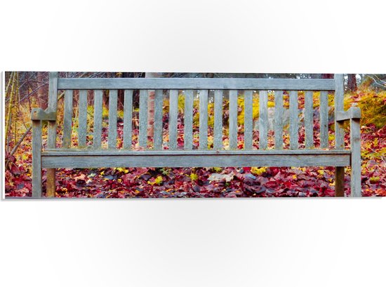 WallClassics - PVC Schuimplaat - Wit Bankje in Herfstbos - 60x20 cm Foto op PVC Schuimplaat (Met Ophangsysteem)