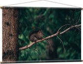 WallClassics - Textielposter - Eekhoorn hoog in de Boom - 120x80 cm Foto op Textiel