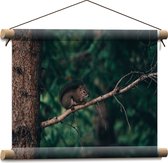 WallClassics - Textielposter - Eekhoorn hoog in de Boom - 40x30 cm Foto op Textiel