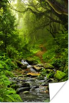 Poster Nature - Water - Jungle - Forêt - Tropical - 20x30 cm