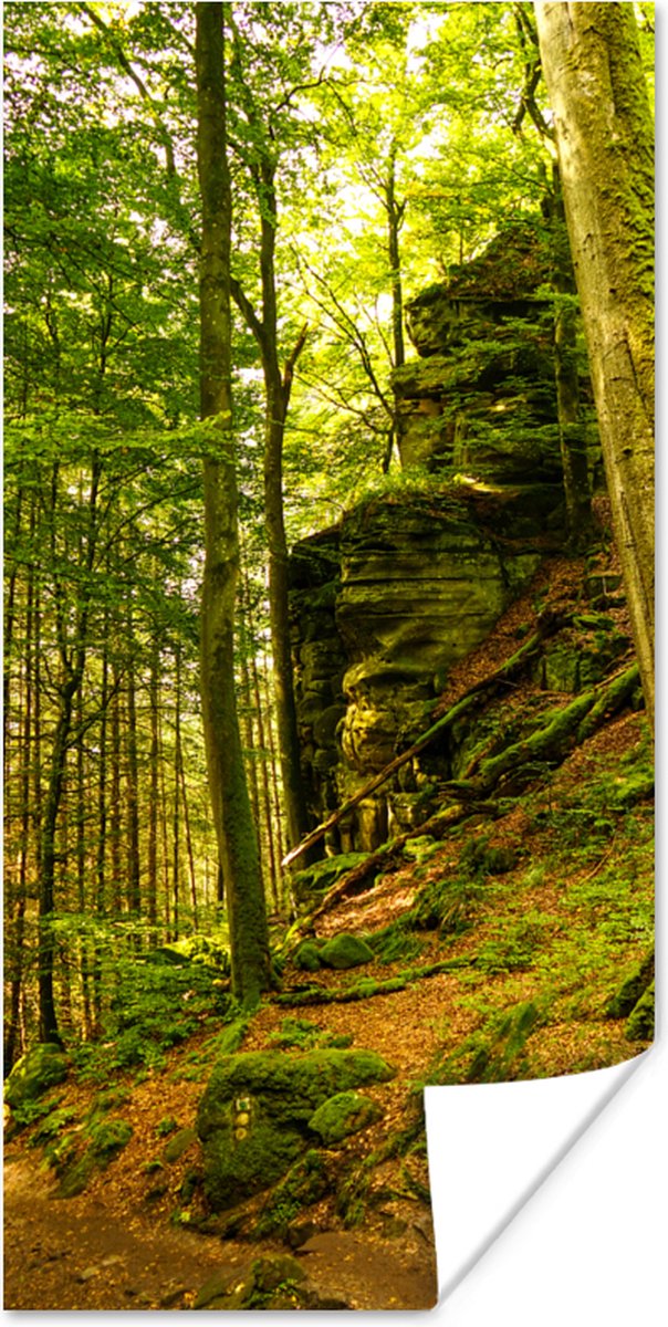 Poster Bomen - Steen - Bos - Natuur - Planten - 60x120 cm