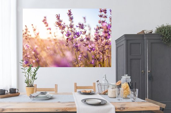 Poster Lavande - Gros plan - Soleil - Fleurs - Violet - 180x120 cm XXL