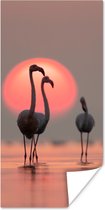 Poster - Fotolijst - Flamingo - Zon - Roze - Vogel - Tropisch - Kader - 20x40 cm - Poster met lijst - Foto in lijst - Poster dieren - Poster flamingo - Wanddecoratie