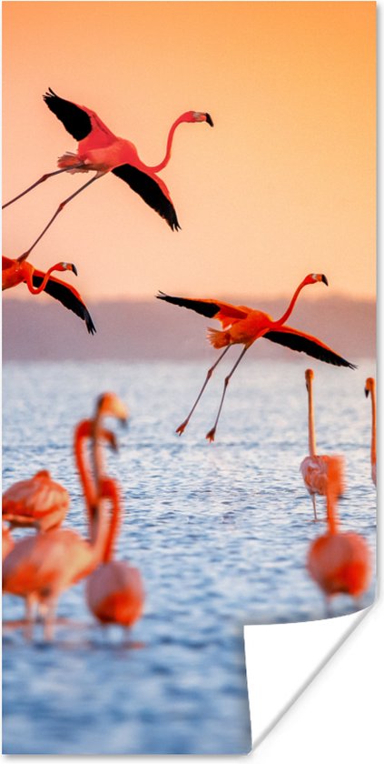PosterMonkey - Poster - Fotolijst - Vogel - Flamingo - Zonsondergang - Water - Tropisch - 40x80 cm - Poster in lijst - Poster flamingo - Poster frame - Poster dieren