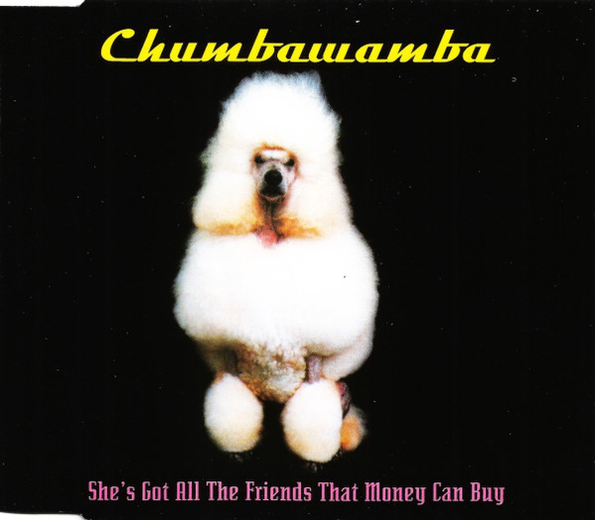 She's Got All the Friends [UK CD Single]