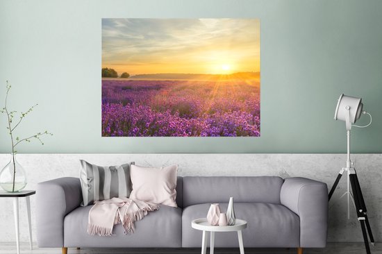 Poster Lavande - Coucher de soleil - Arbres - Violet - 120x90 cm