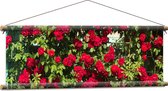 WallClassics - Textielposter - Rode Rozenstruik - 90x30 cm Foto op Textiel