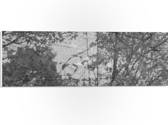 WallClassics - PVC Schuimplaat - Schaduw van Takken op Stenen in zwart-wit - 60x20 cm Foto op PVC Schuimplaat (Met Ophangsysteem)