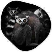 Décoration murale Organique - Décoration Décoration murale Plastique - Peinture Organique - Animaux - Lémurien - Zwart - Wit - Portrait - 40x40 cm - Forme miroir asymétrique sur plastique