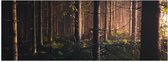 WallClassics - Poster (Matte) - Forêt au Crépuscule du Coucher du Soleil - 60x20 cm Photo sur Papier Poster avec un Aspect Mat