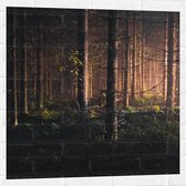 WallClassics - Muursticker - Bos in de Schemer van Zonsondergang - 80x80 cm Foto op Muursticker