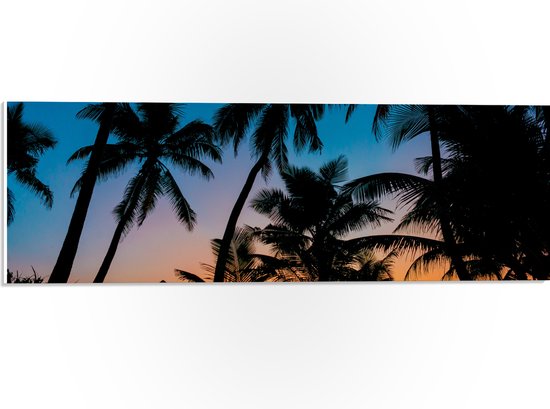 WallClassics - PVC Schuimplaat - Silhouette van Palmbomen op een Tropisch Strand - 60x20 cm Foto op PVC Schuimplaat (Met Ophangsysteem)