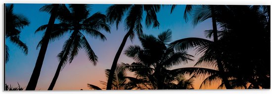 WallClassics - Dibond - Silhouette van Palmbomen op een Tropisch Strand - 60x20 cm Foto op Aluminium (Wanddecoratie van metaal)