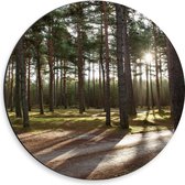 WallClassics - Dibond Muurcirkel - Wandelpaden in het Bos - 30x30 cm Foto op Aluminium Muurcirkel (met ophangsysteem)