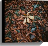 WallClassics - Canvas  - Bruine Herfstbladeren - 30x30 cm Foto op Canvas Schilderij (Wanddecoratie op Canvas)