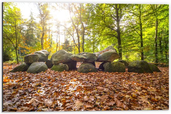 WallClassics - Dibond - Opgestapelde Stenen in Herfstbos - 60x40 cm Foto op Aluminium (Met Ophangsysteem)