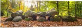 WallClassics - Tuinposter – Opgestapelde Stenen in Herfstbos - 150x50 cm Foto op Tuinposter  (wanddecoratie voor buiten en binnen)