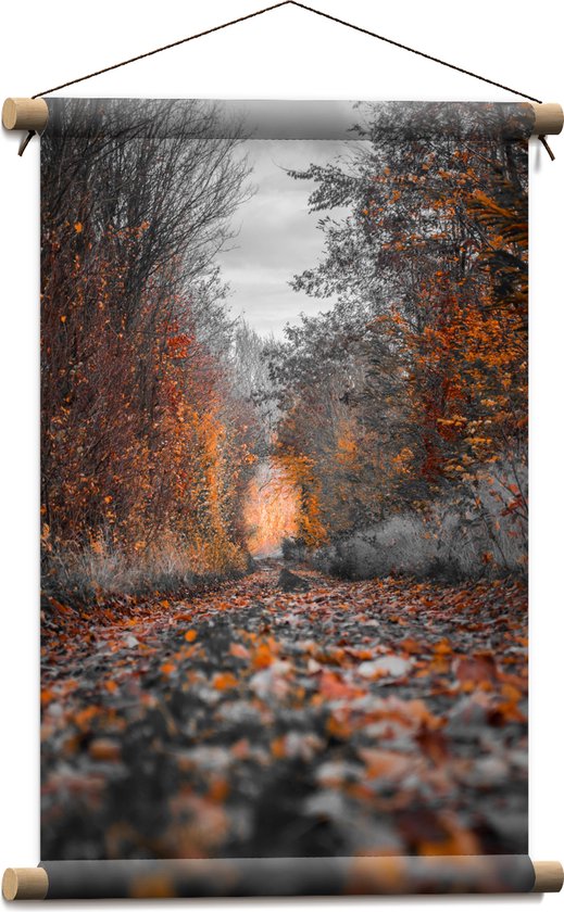 WallClassics - Textielposter - Kale Bomen met Herfstbladeren - 40x60 cm Foto op Textiel