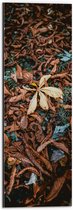WallClassics - Dibond - Bruine Herfstbladeren - 20x60 cm Foto op Aluminium (Met Ophangsysteem)