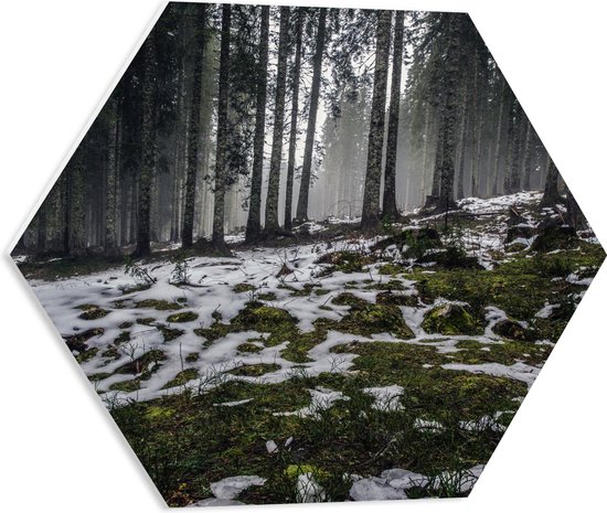 WallClassics - PVC Schuimplaat Hexagon  - Smalle Bomen in Bos met Kleine Beetjes Sneeuw - 50x43.5 cm Foto op Hexagon (Met Ophangsysteem)