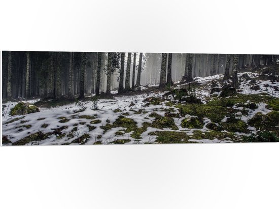 WallClassics - Panneau en mousse PVC – Arbres étroits dans la forêt avec de petits morceaux de neige – Photo 120 x 40 cm sur panneau en mousse PVC