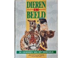 6 Dieren in beeld
