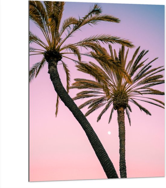 WallClassics - Dibond - Twee Palmbomen bij Roze-Blauwe Lucht - 75x100 cm Foto op Aluminium (Met Ophangsysteem)