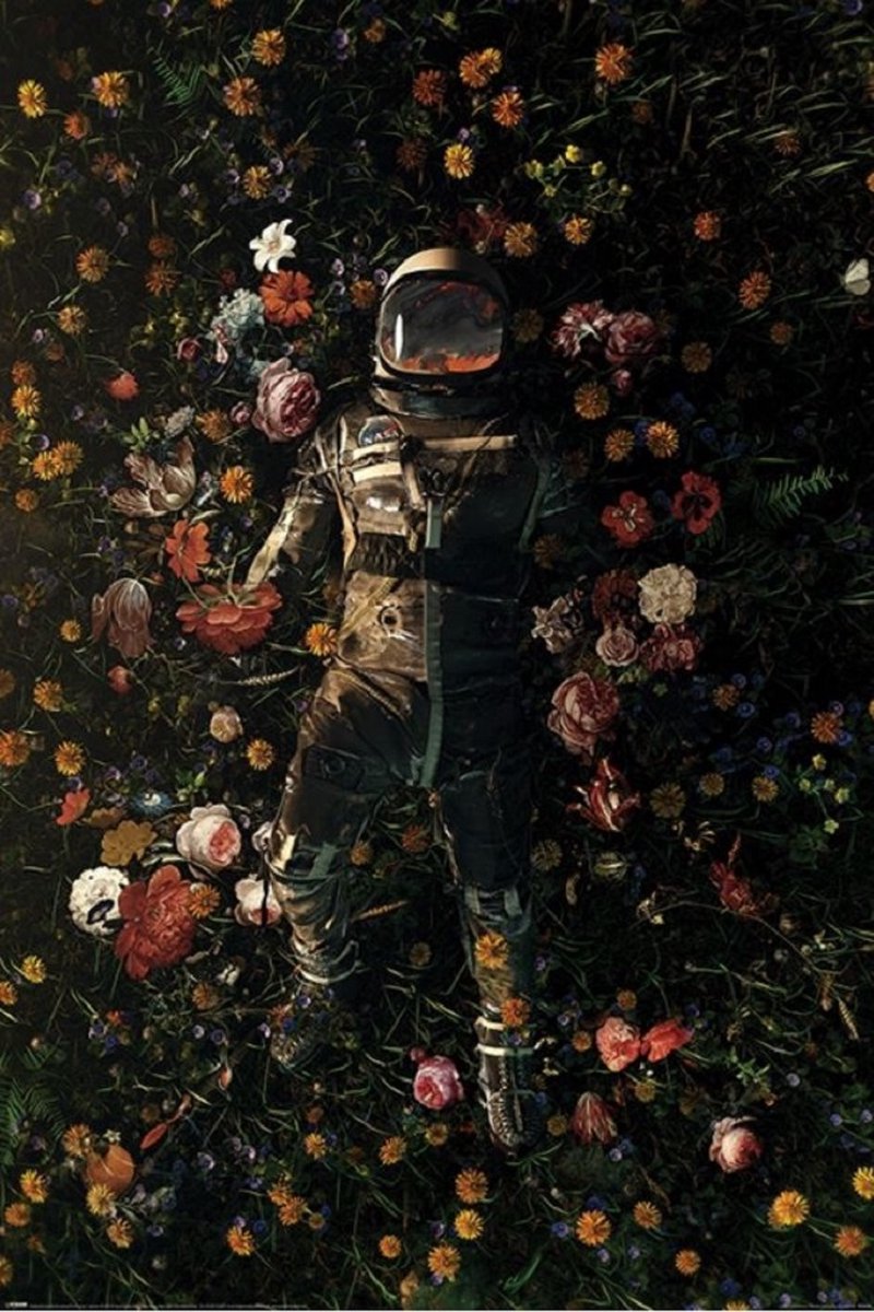 Pyramid Nicebleed Garden of Delights - Maxi Poster Multi color