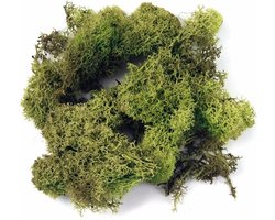 Rayher Decoratie mos - 3x zakjes - lichtgroen - 100 gram - Knutselen/bloemisterij materialen voor o.a. kerststukjes maken