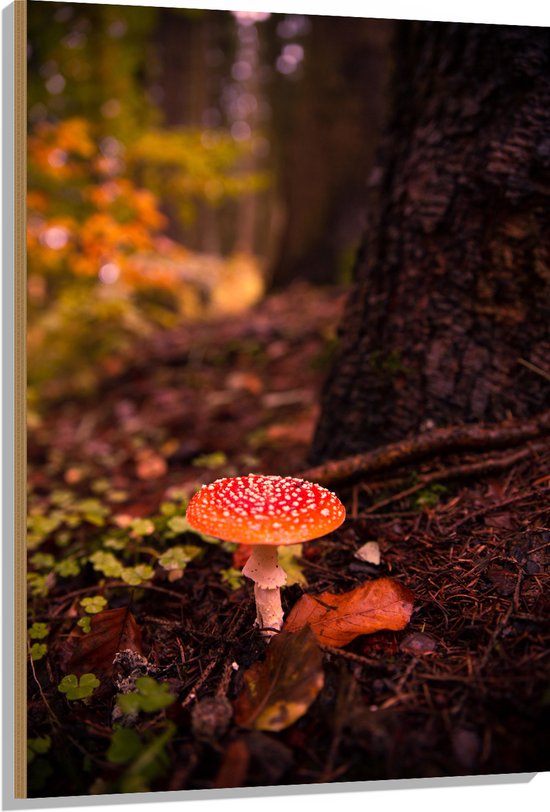 WallClassics - Hout - Vliegenzwam groeiend tegen Boom - 80x120 cm - 12 mm dik - Foto op Hout (Met Ophangsysteem)