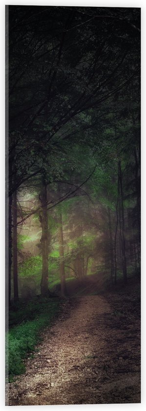 WallClassics - Acrylglas - Schuin Lopend Pad - 20x60 cm Foto op Acrylglas (Met Ophangsysteem)