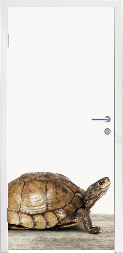 Deursticker kind - Schildpad - 85x205 cm