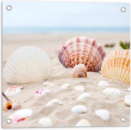 WallClassics - Tuinposter – Schelpjes in het Zand op het Strand - 50x50 cm Foto op Tuinposter  (wanddecoratie voor buiten en binnen)