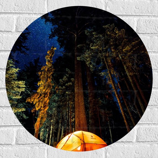 WallClassics - Muursticker Cercle - Tente sous les Arbres - 60x60 cm Photo sur Muursticker
