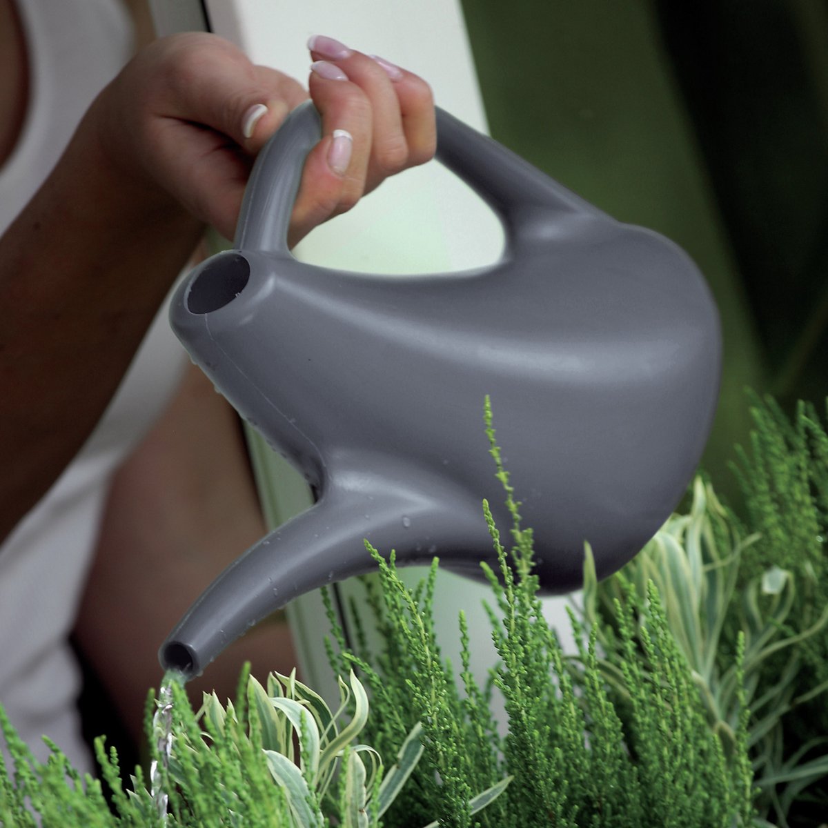 Prosperplast Gieter - antraciet - kunststof - 1.5 liter - gieters voor binnen en buiten — cadeau in Cadeau-ideeën - foto 2