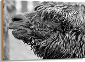 WallClassics - Hout - Natte Alpaca Zwart - Wit - 100x75 cm - 12 mm dik - Foto op Hout (Met Ophangsysteem)