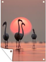 Tuinschilderij Vogel - Flamingo - Zonsondergang - Roze - 60x80 cm - Tuinposter - Tuindoek - Buitenposter