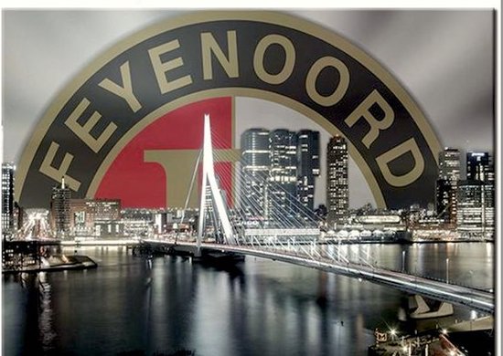TOPMO - Feyenoord Rotterdam - 40X50CM- Diamond painting pakket - HQ Diamond  Painting -... | bol.com