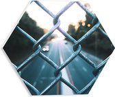 WallClassics - PVC Schuimplaat Hexagon  - Wegen achter Hek - 30x26.1 cm Foto op Hexagon (Met Ophangsysteem)