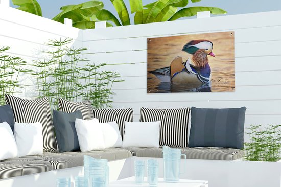 Canard mandarin dans l'eau dans le jardin d'automne affiche toile en vrac 60x40 cm - petit - toile de jardin / toile d'extérieur / Peintures pour l'extérieur (décoration de jardin)