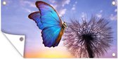 Tuinposter Vlinder - Zonsondergang - Paardebloem - Blauw - 60x30 cm - Tuindoek - Buitenposter
