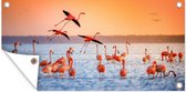 Tuinposter Vogel - Flamingo - Water - Zonsondergang - Roze - 80x40 cm - Wanddecoratie Buiten - Tuinposter - Tuindoek - Schuttingposter - Tuinschilderij