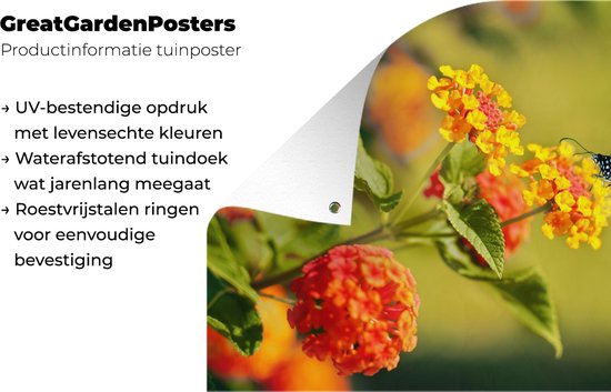 Affiche jardin - Toile jardin - Posters de jardin extérieur - Papillon - Insectes - Fleurs - Jaune - 120x80 cm - Jardin