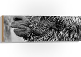 WallClassics - Hout - Natte Alpaca Zwart - Wit - 90x30 cm - 12 mm dik - Foto op Hout (Met Ophangsysteem)