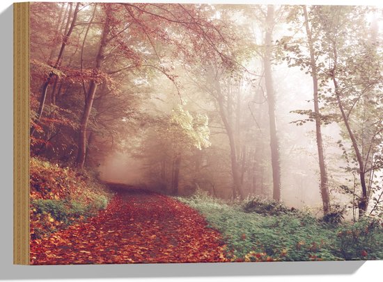 WallClassics - Hout - Mistig Herfstbos - 40x30 cm - 12 mm dik - Foto op Hout (Met Ophangsysteem)