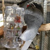Zoo-Max Ring of Fortune-Papegaaienspeelgoed- Foerageerspeelgoed papegaai