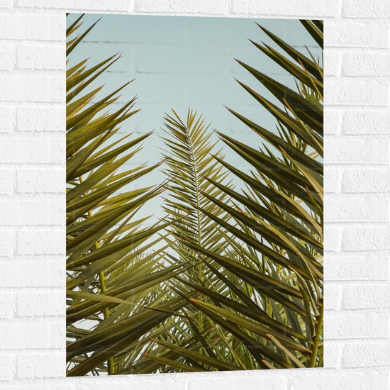 WallClassics - Muursticker - Palmboom Planten met Blauwe Lucht - 60x90 cm Foto op Muursticker