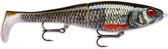 RAPALA X-RAP PETO Live Roach